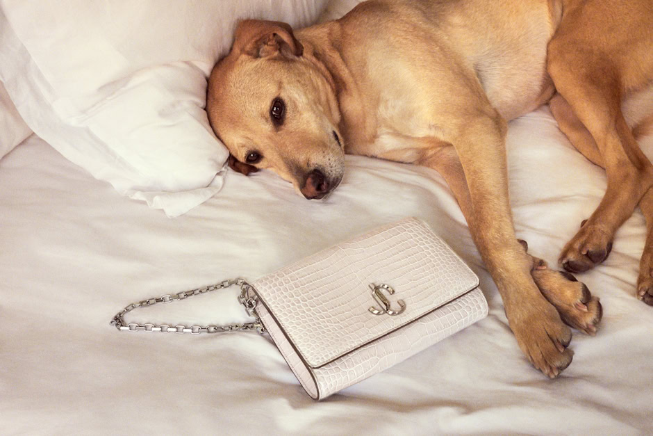Chic beige designer handbag with chain strap resting on white bed linens next to a relaxing, tan-colored dog lying on its side.