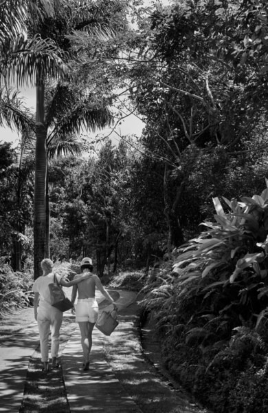 Outdoor black and white fashion photography of two women walking along a lush, tropical garden path, showcasing elegant summer clothing, stylish accessories, and natural scenery.