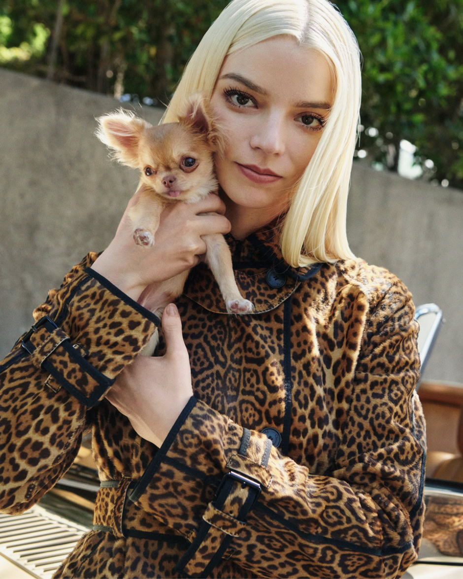 Chic woman with blonde hair holding a small Chihuahua dog outdoors, wearing a leopard print jacket, emphasizing fashion photography and animal portraiture.