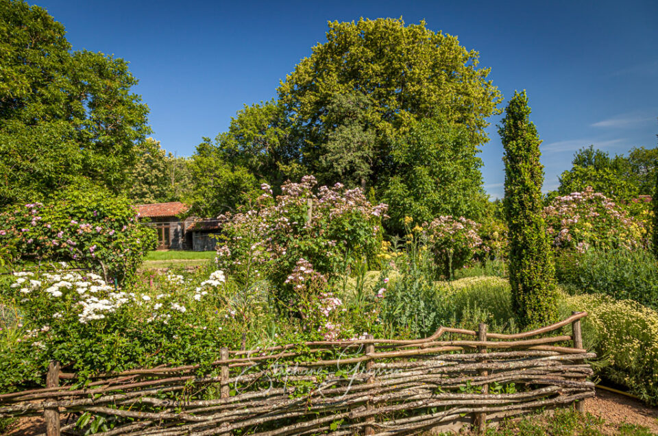 Comment capturer l’esthétique naturelle des espaces verts en photographie