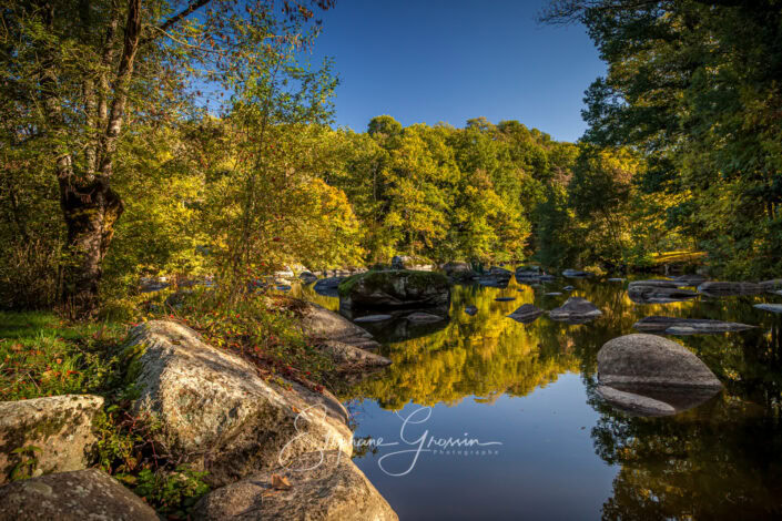 Le parc de la Barbinière