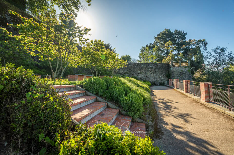 Les secrets d’un reportage photographique réussi dans les jardins publics