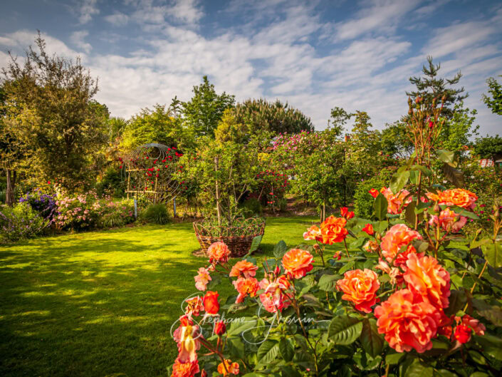 Le jardin d’Alcime à Aubigny