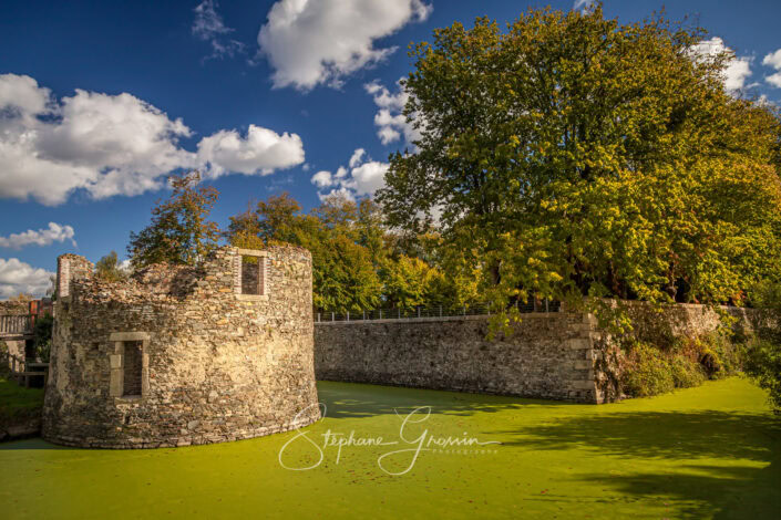 Le parc de la Sénardière