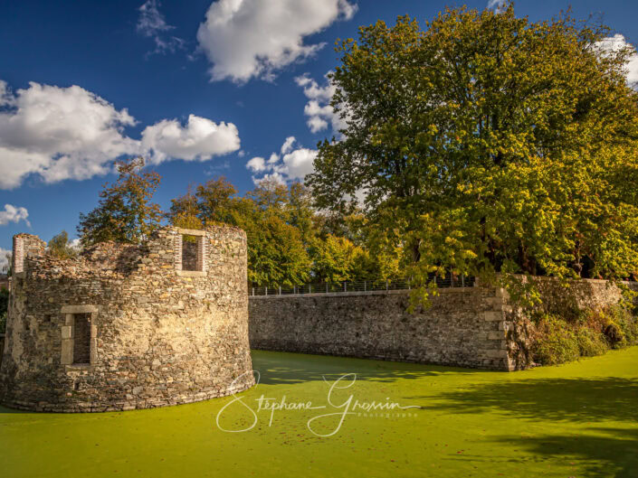 Le parc de la Sénardière