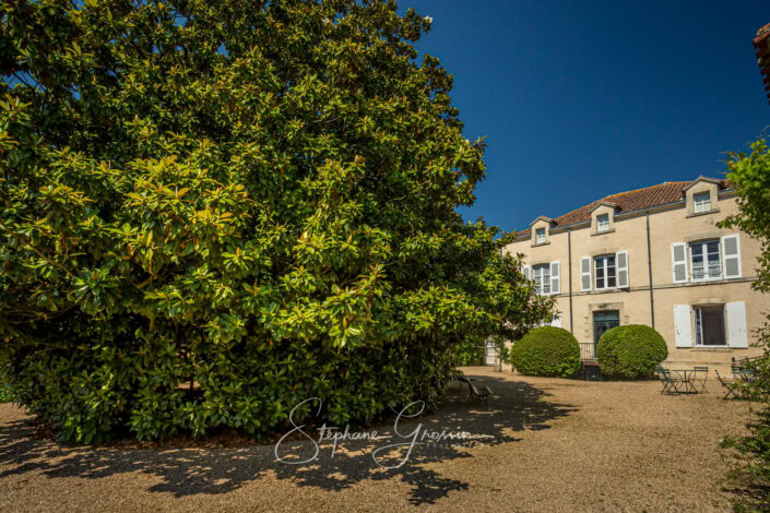 Reportage dans les jardins de la maison du maréchal De Lattre