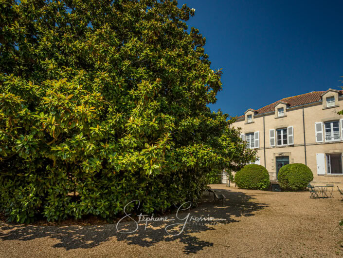 Report in the gardens of Marshal De Lattre’s house