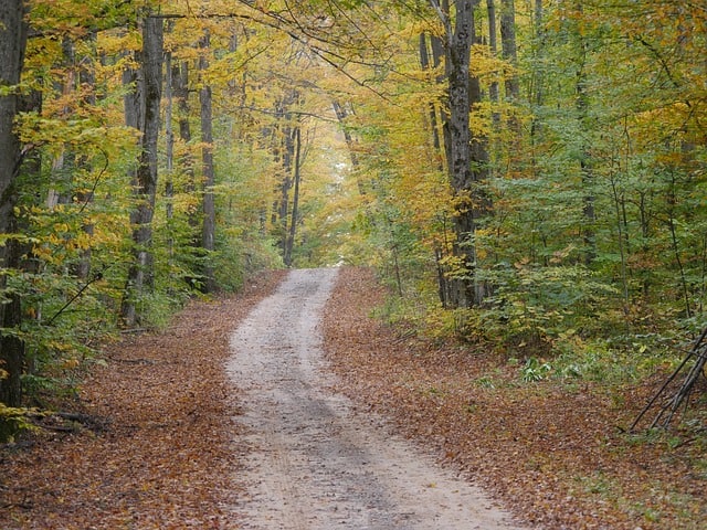 Ludington, MI walking trail