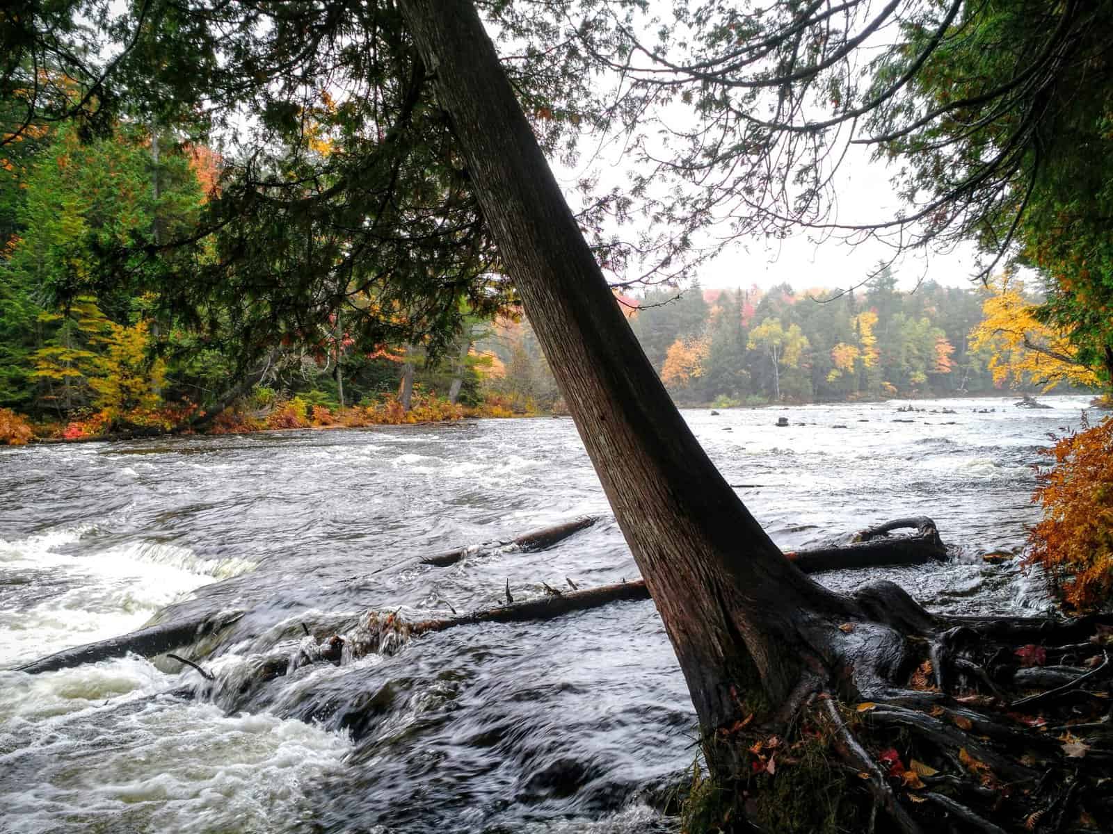 Tahquamenon Falls Michigan