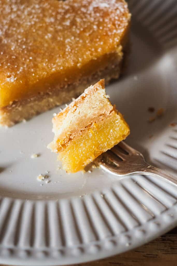 Las Lemon Bars son un postre muy popular en la repostería estadounidense, y no me extraña. Consisten en una base de masa crujiente y quebradiza, similar al shortbread, y están cubiertas con una capa de limón suave y ligeramente ácida. Son un dulce delicioso y perfecto para cualquier ocasión, ya sea una celebración, como postre o merienda. ¡Estas barritas de limón siempre sorprenden! | Receta de Paula's Apron