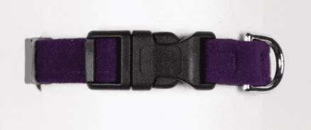 quick release plain dog collar