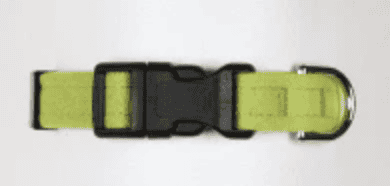 quick release plain dog collar