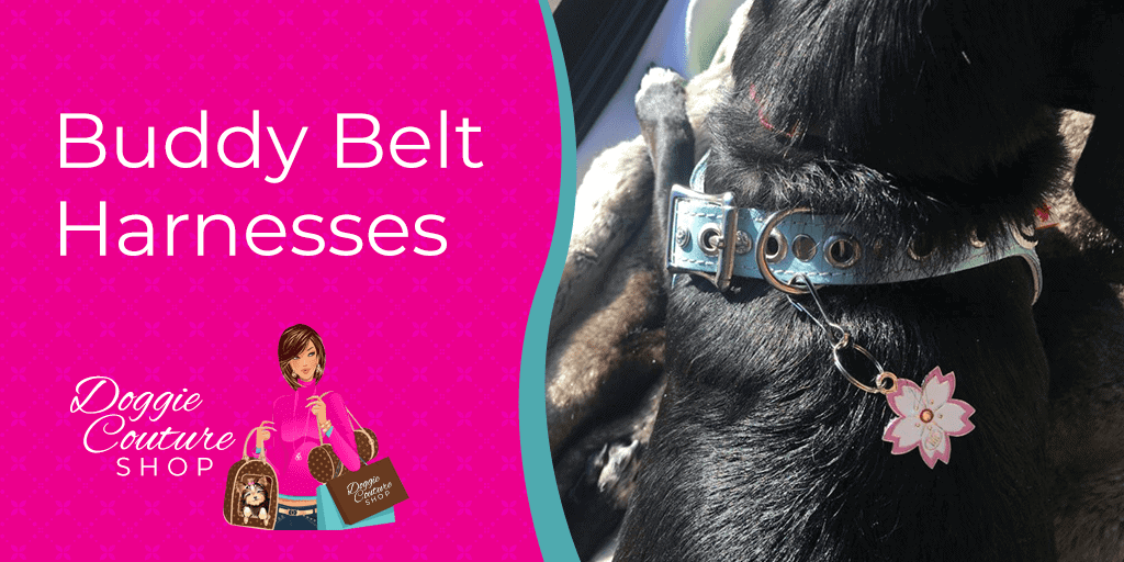 Buddy Belt Harnesses for dogs, comfortable pet harnesses, stylish dog collars, and accessories, pet fashion, dog training gear, and lightweight dog collars for everyday wear.