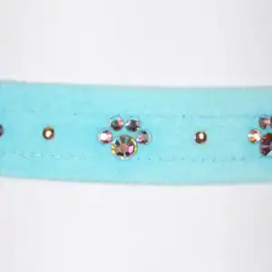 Crystal Paws Collar by Susan Lanci at Pawswithfashion.com