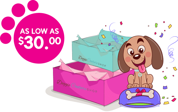 Dog clothing, accessories, and toys from Paws With Fashion offered at prices as low as , perfect for stylish pets and happy pet owners.