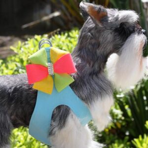 Angela Step In Safe Dog Harness by Susan Lanci handcrafted from genuine Ultrasuede® with crystal accents and a comfortable no-choke design.
