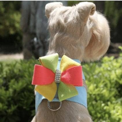 Angela Tinkie Dazzling Dog Harness
