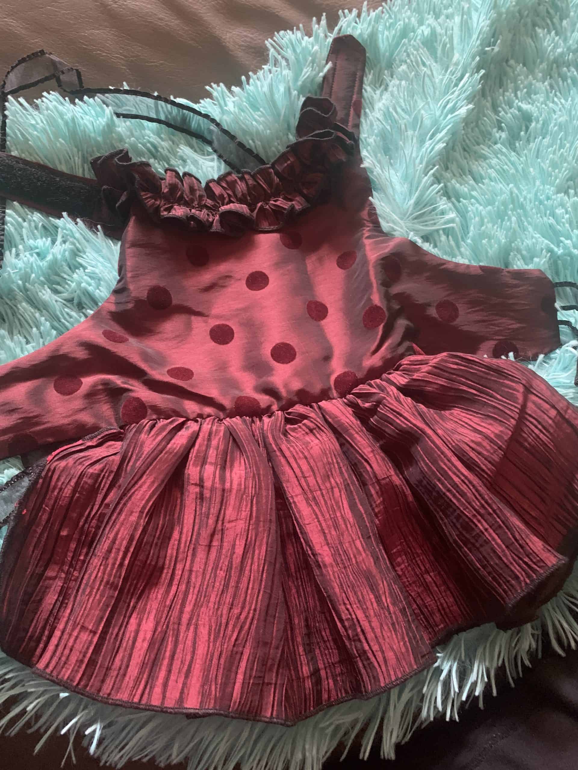 clearance burgundy polka dot dog dress