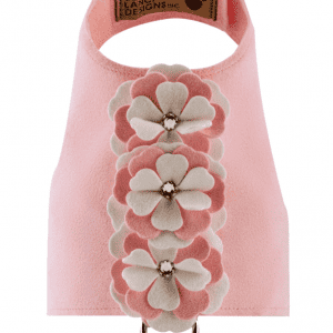 special occasion flower bailey dog harness