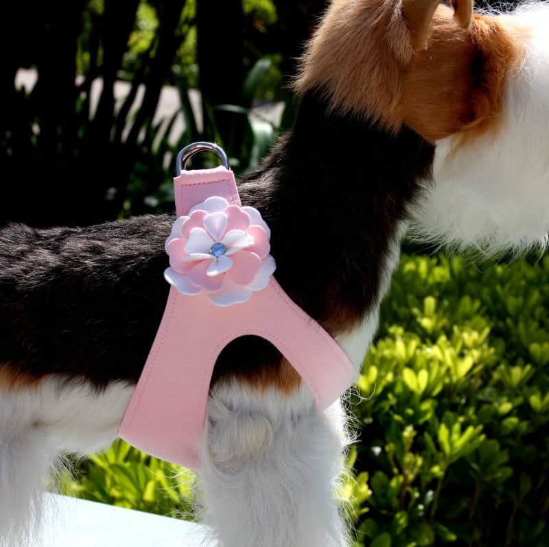 Pink flower-themed step-in dog harness on a small dog outdoors, featuring a decorative flower with a blue gem in the center, suitable for stylish pet accessories.
