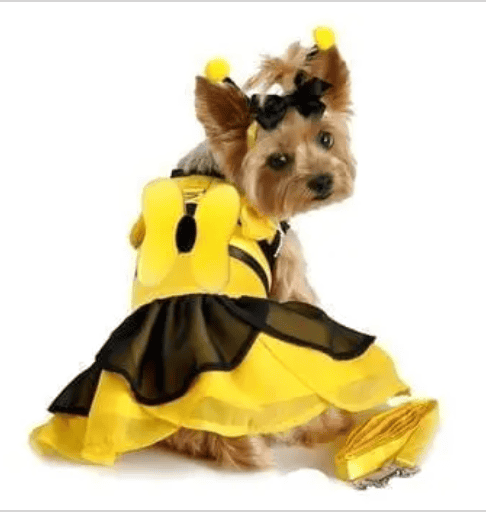 Bumble Bee Fairy Dog Costume Dress