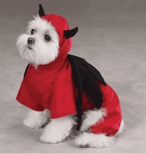clearance devil dog costume