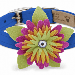 island flower dog collar