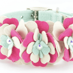 blossom flower dog collar
