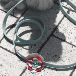 blossom flower dog leash