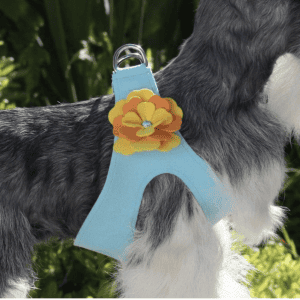 darla flower step in dog harness