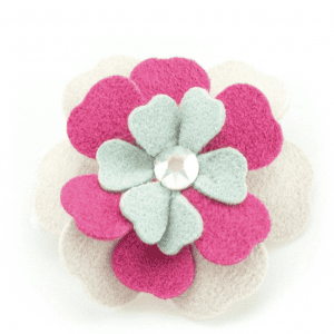 blossom flower dog bow