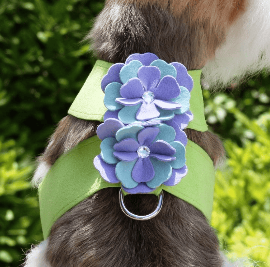 emma flower tinkie dog harness
