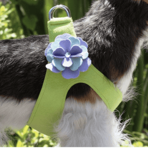 emma flower step in dog harness
