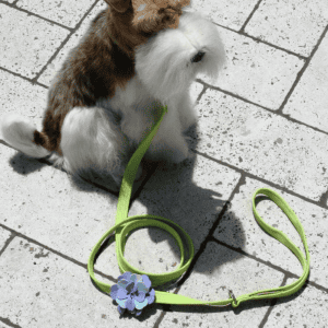 emma flower dog leash
