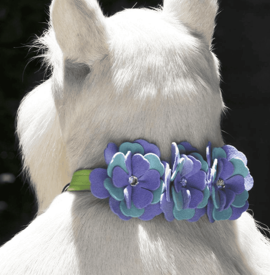 emma flower dog collar