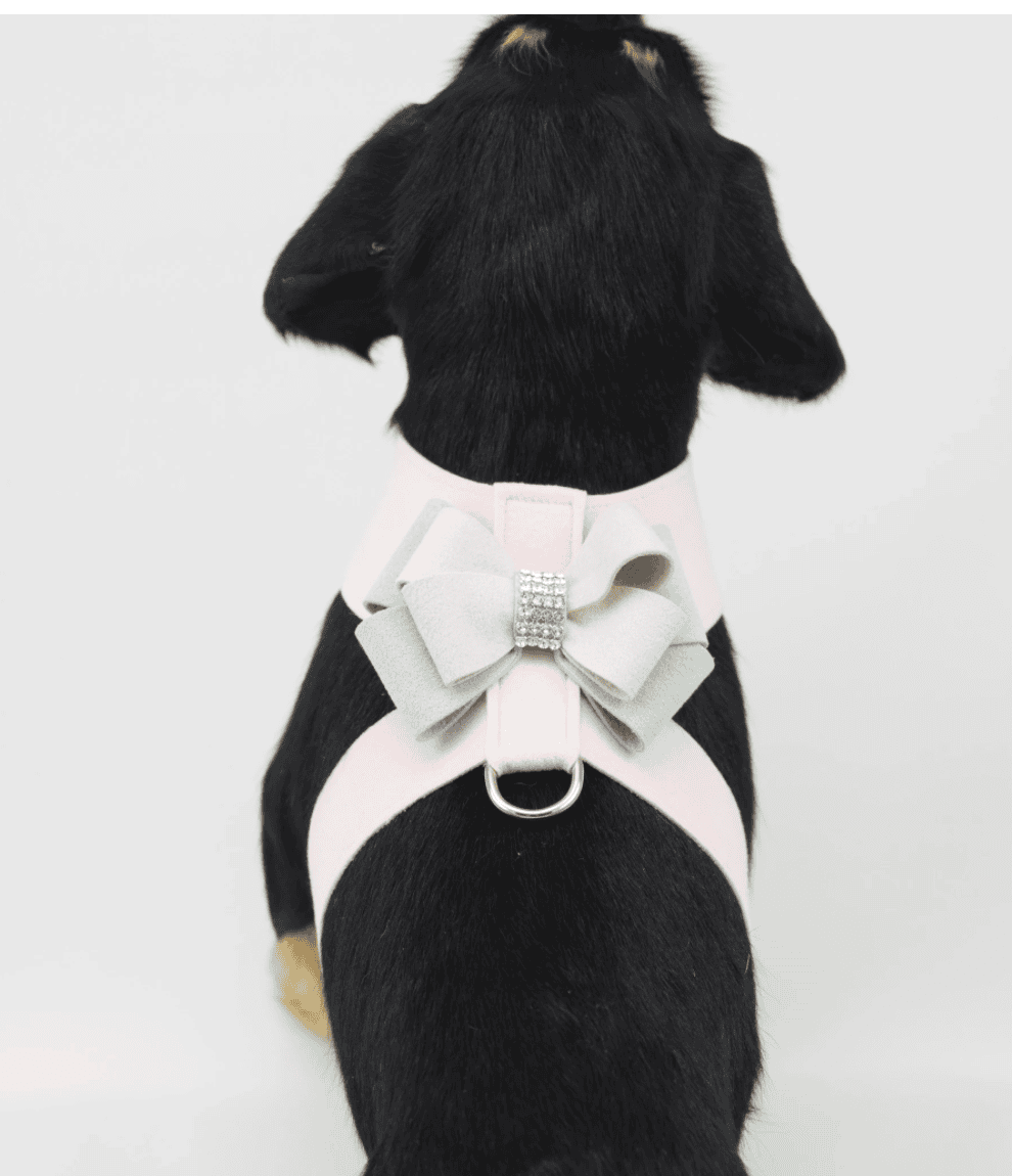 Hope Bow Tinkie Dog Harness