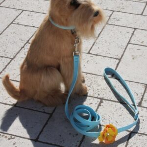 Susan Lanci Darla Flower Dog Leash in Tiffi Blue with an orange and yellow flower