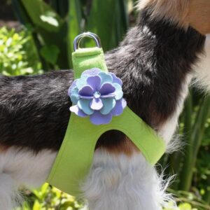 Susan Lanci Emma Flower Step-In Dog Harness in Kiwi with Periwinkle and Mint flowers
