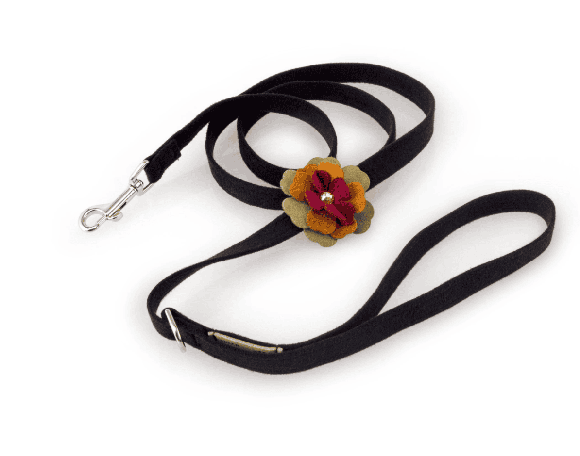autumn dog leash