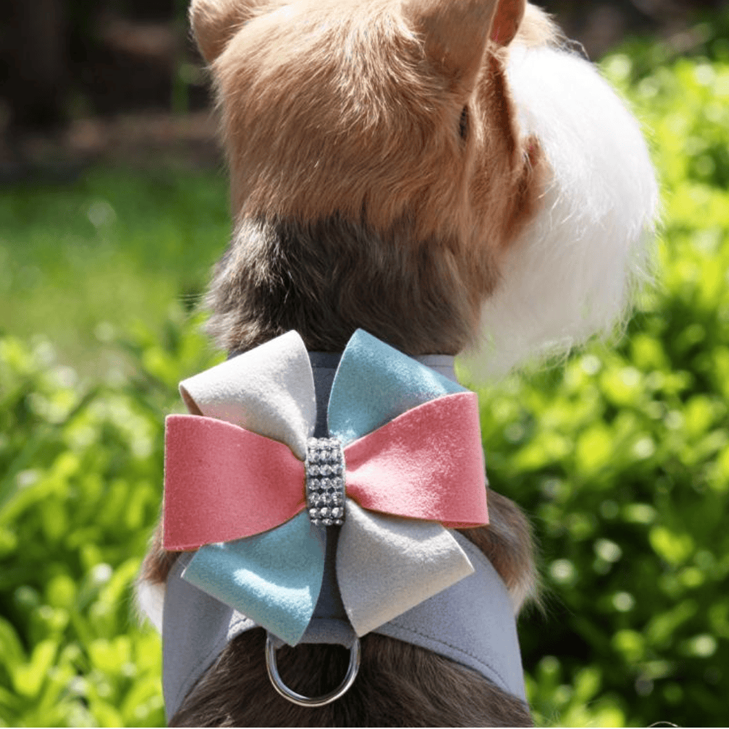 julia tinkie dog harness