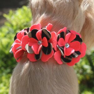 Susan Lanci Sarah Dog Collar with Electric Pink and Serengeti flowers