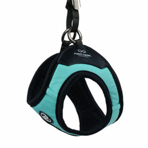 Puppy Angel MAGAGIO Vivid Harness