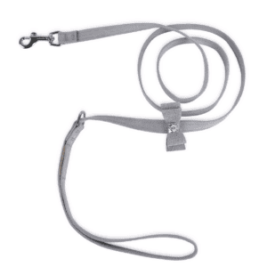 Glitzerati Big Bow Leash