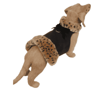 Velvet Bow Lynx Fur Coat