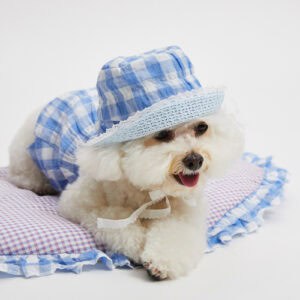 Palm Springs Reversible Bucket Hat in Blue Gingham by Louisdog -