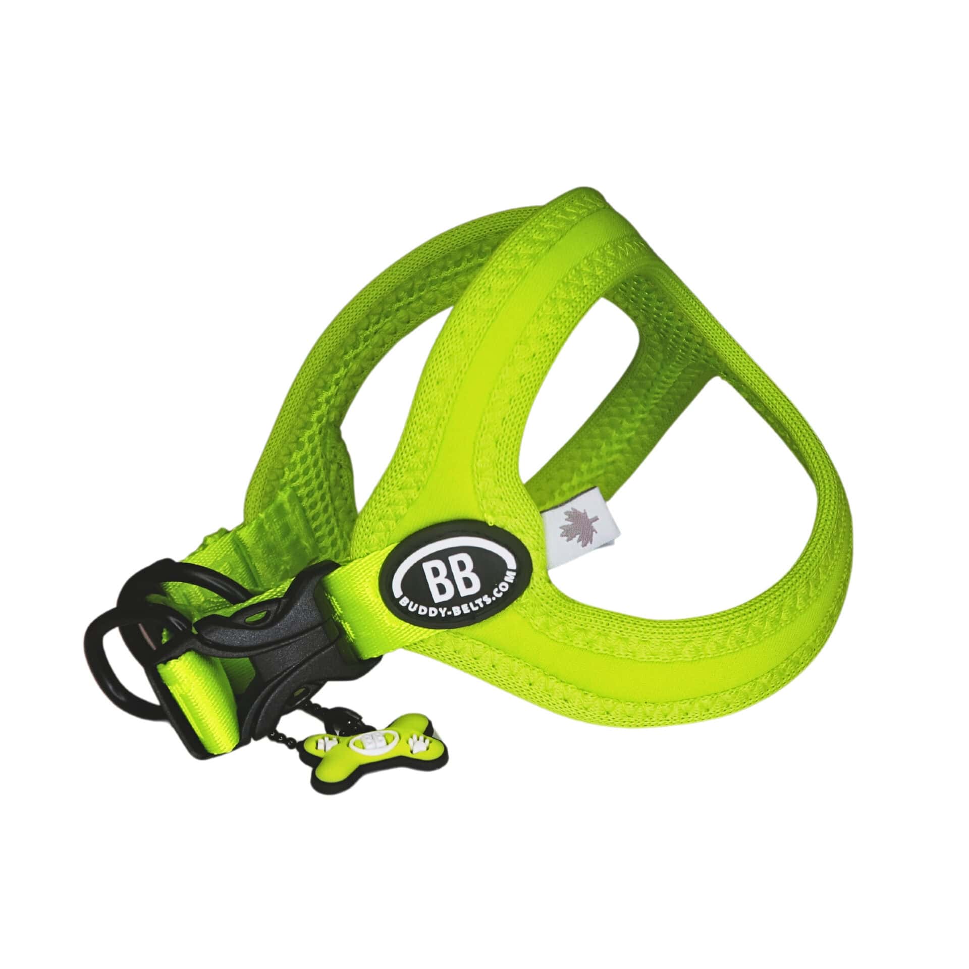 Buddy Belt Sport Harnesses in Vibrant Colors