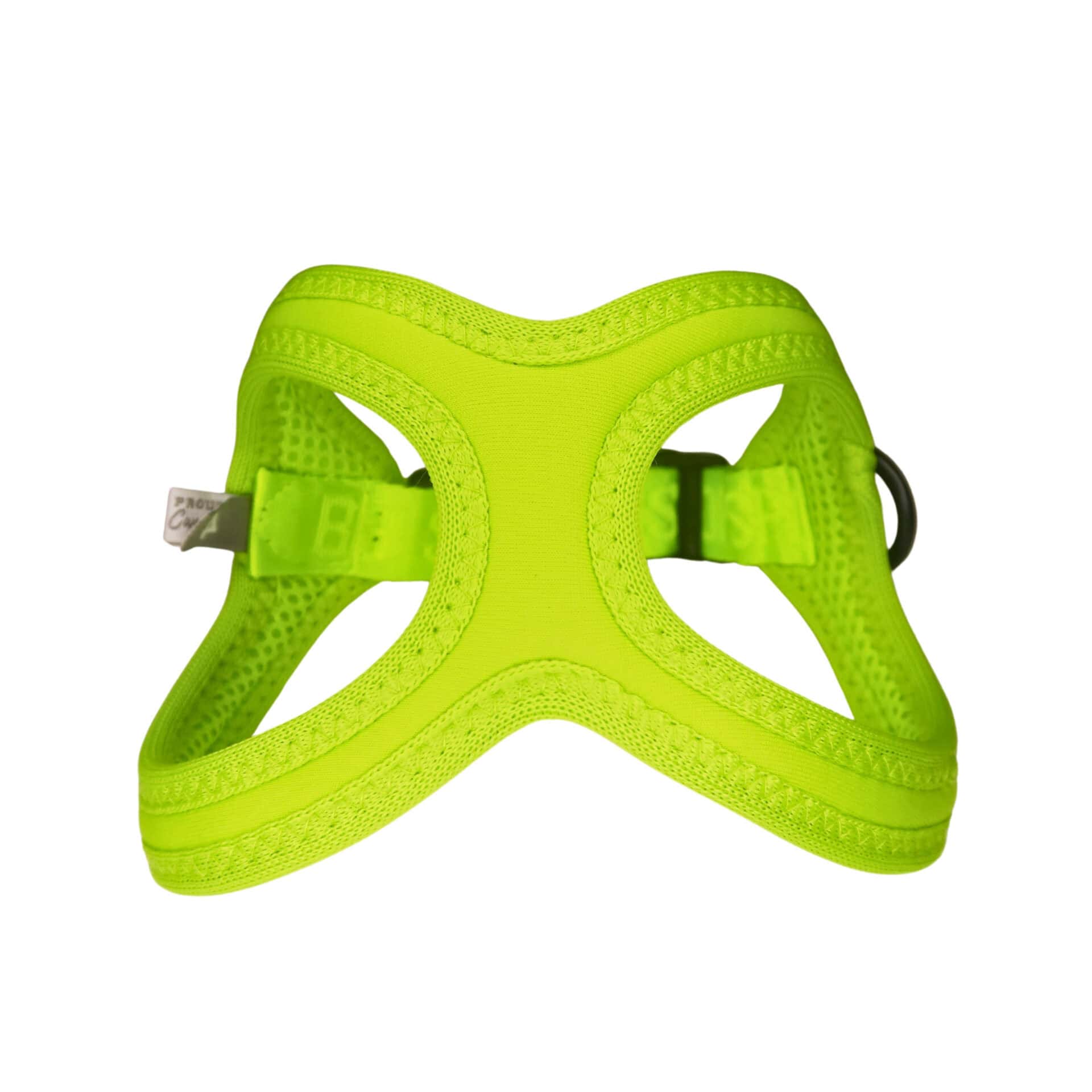 Buddy Belt Sport Harnesses in Vibrant Colors