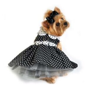 Polka Dot Dog Dress by Doggie Design in blue
