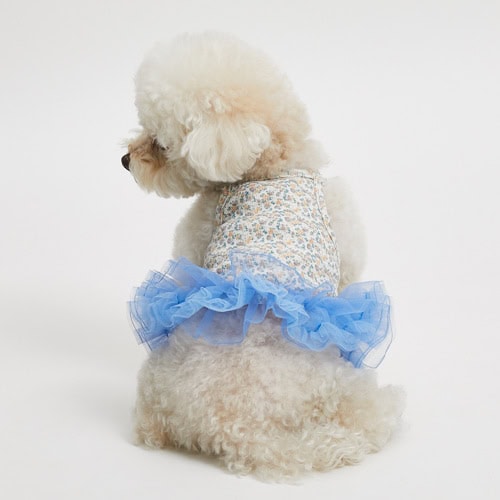 Iris Tutu Top by Louisdog at PawswithFashion.com