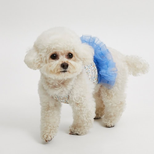 Iris Tutu Top by Louisdog at PawswithFashion.com